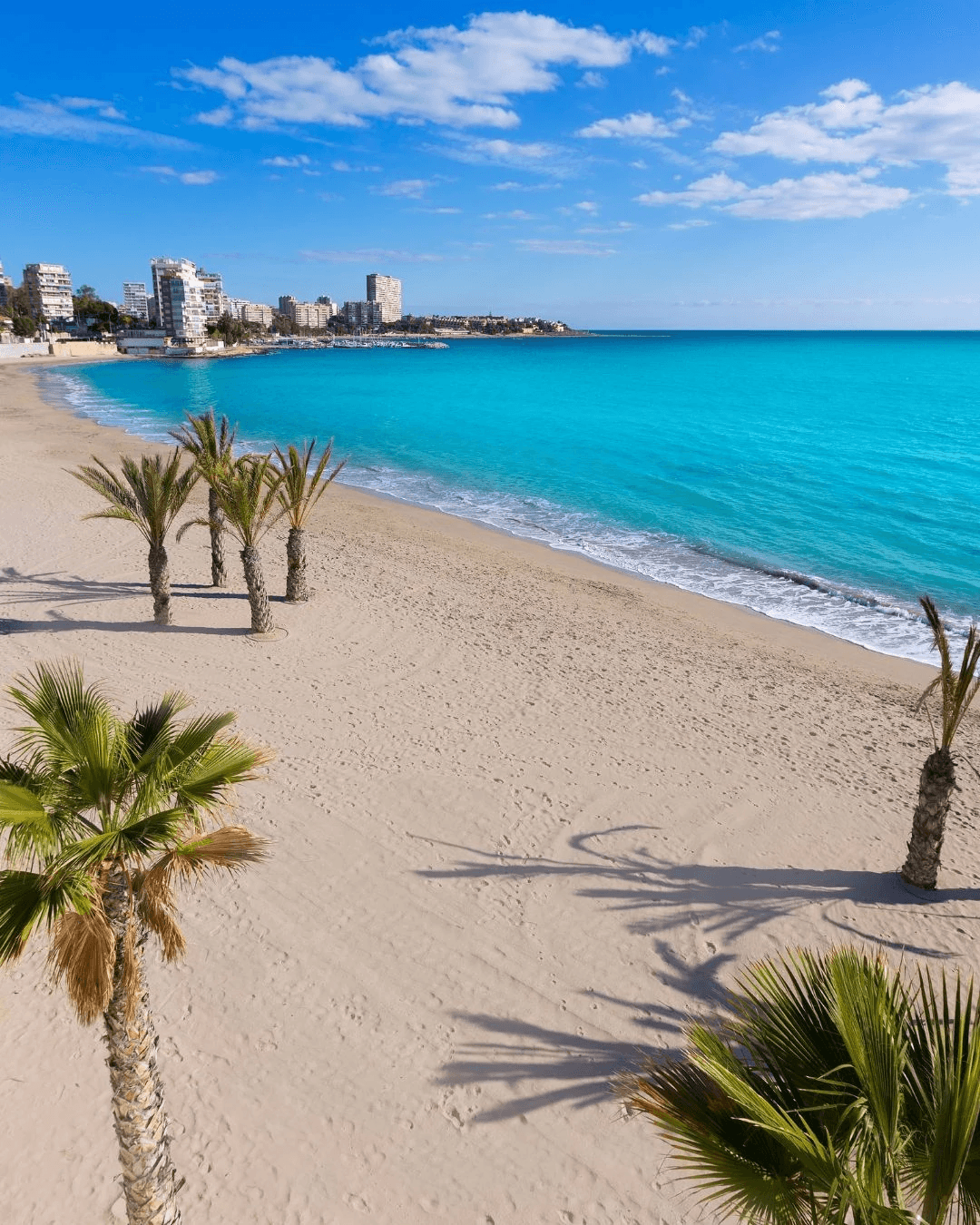 Alicante & surroundings